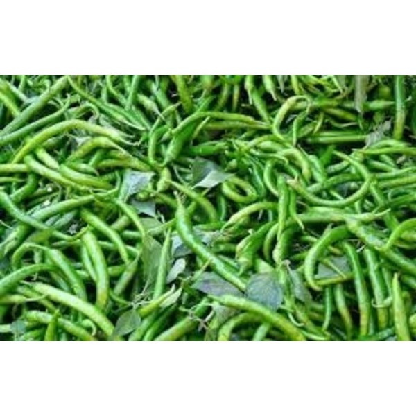 Green Chilies - Cultivation Type: Organic