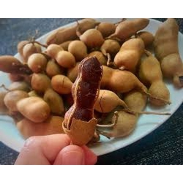 Sweet Tamarind - Color: Brown
