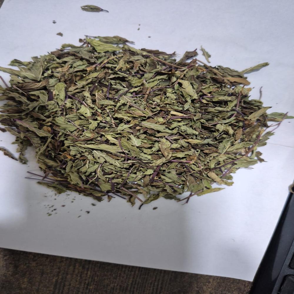 Dry Mint Leaves - Color: Green