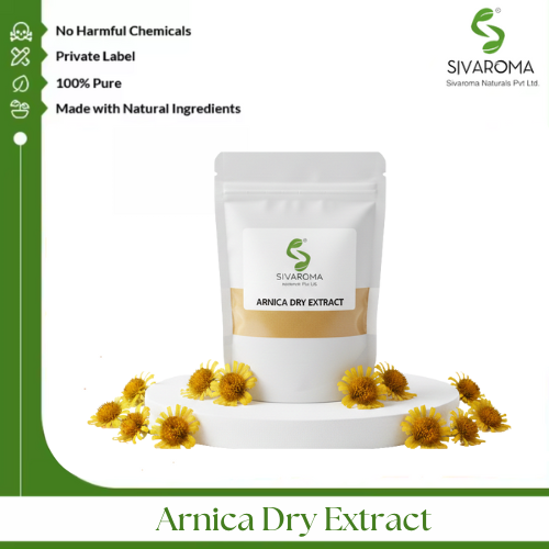 Arnica Dry Extract
