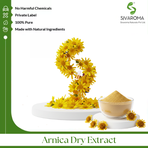 Arnica Dry Extract - Color: Light Brown To Yellowish Brown