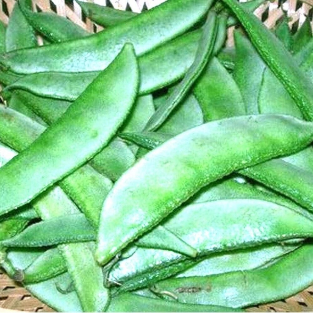 फ्लैट बीन