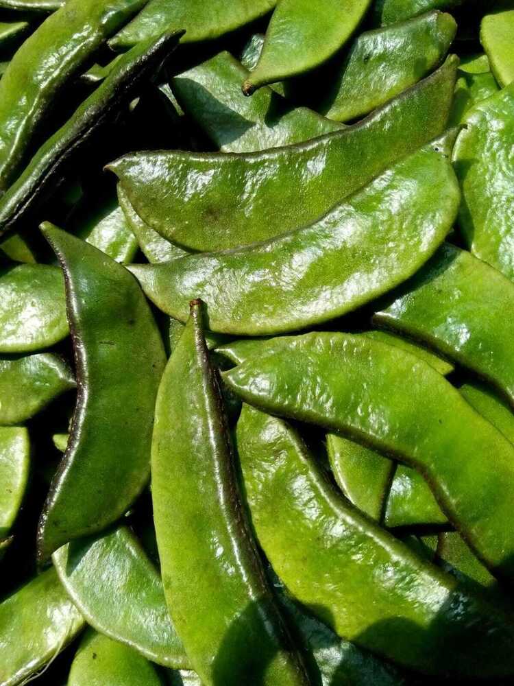 Flat Beans - Packaging Size: 5-25kg