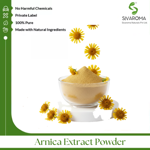 Arnica Extract Powder