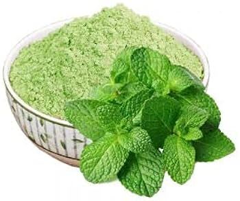 Dehydrated Mint Leaves Powder