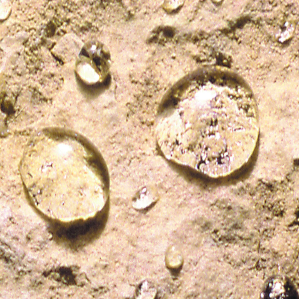 Guard Hardener WO- Depth Hardener and Sealer for Concrete, Stone, Masonry, Floor, Wall Consolidation 10Year- Water Repellent - Oil Resistant - Anti Stain Protection