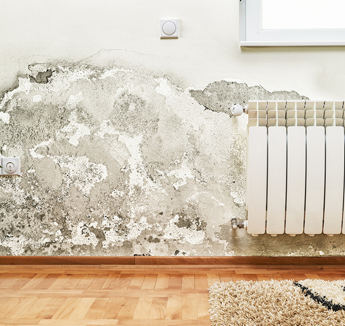 Guard Hardener WO- Depth Hardener and Sealer for Concrete, Stone, Masonry, Floor, Wall Consolidation 10Year- Water Repellent - Oil Resistant - Anti Stain Protection