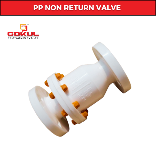 PP Non Return Valve