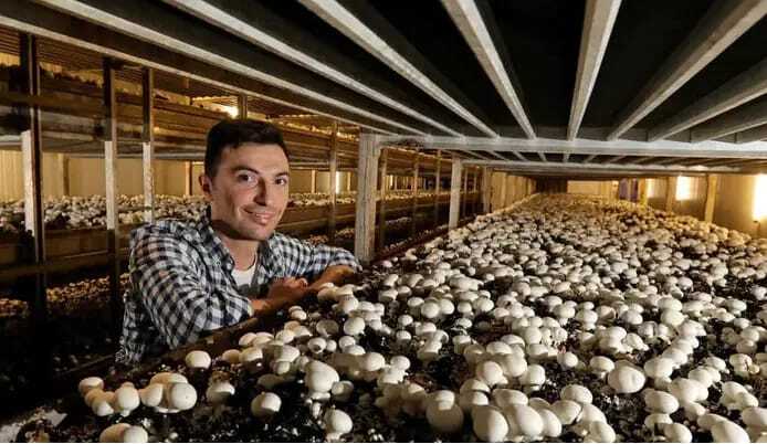Mushroom Cultivation Chamber