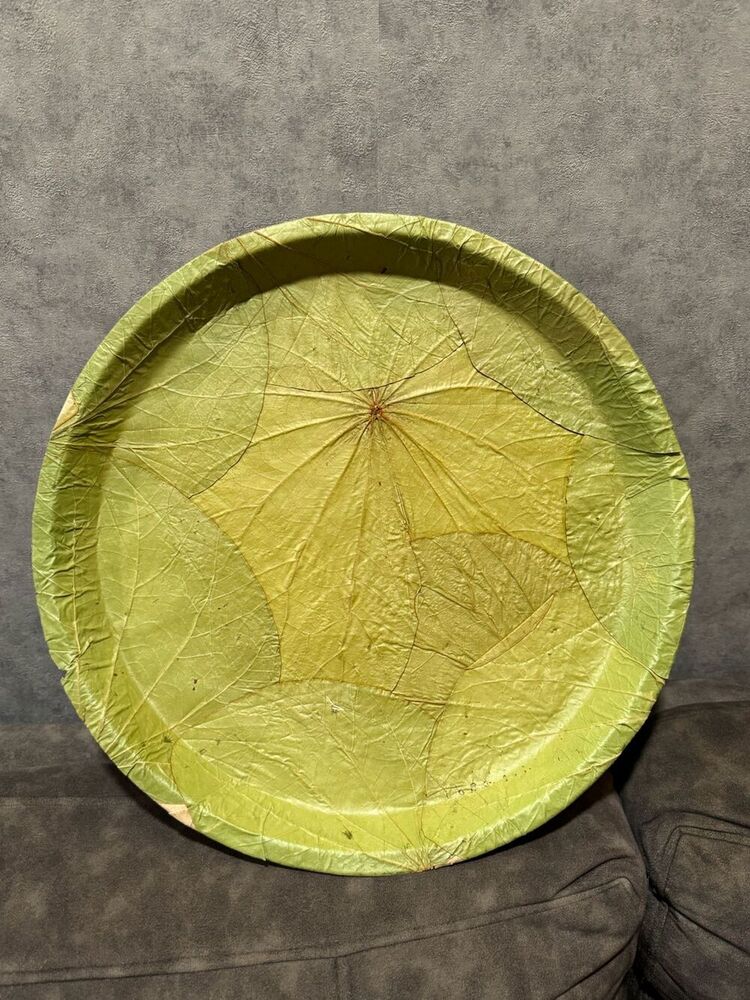 14inch Biodegradable Leaf Plates Pack Of 25 - Color: Green
