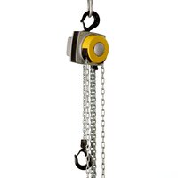 Indef Chain Pulley Block