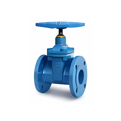 Gate Valve