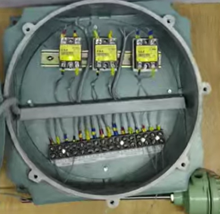 Flameproof Temperature Controller with SSR Output