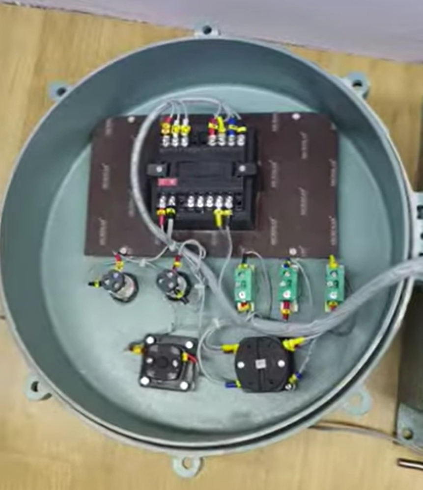 Flameproof Temperature Controller with SSR Output