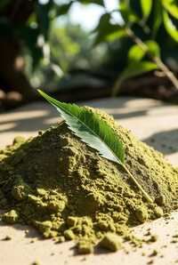 Neem Leaf Powder - Cultivation Type: Organic