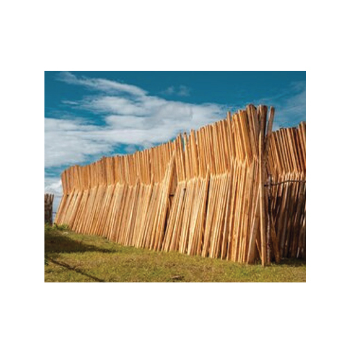 ADS Pine Sawn Timber