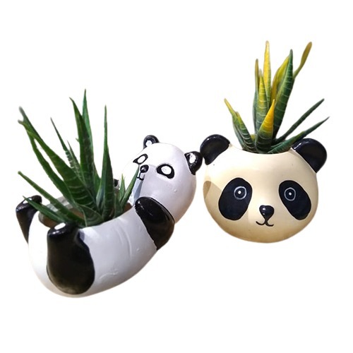 Cute Panda Shaped Succulent Planters - Color: Multicolor