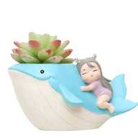 Resin Succulent Planter - Color: Multicolor