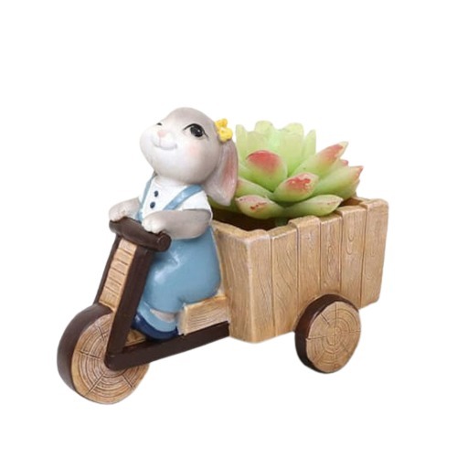Resin Succulent Planter - Color: Multicolor