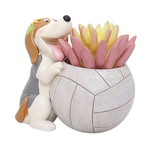 Wonderland Resin Succulent Pots