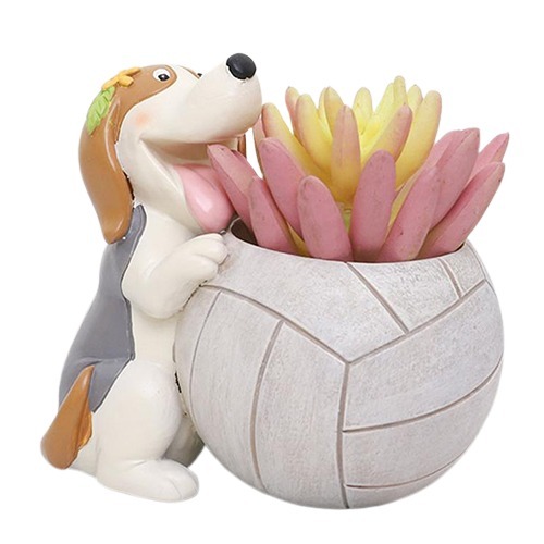 Wonderland Resin Succulent Pots