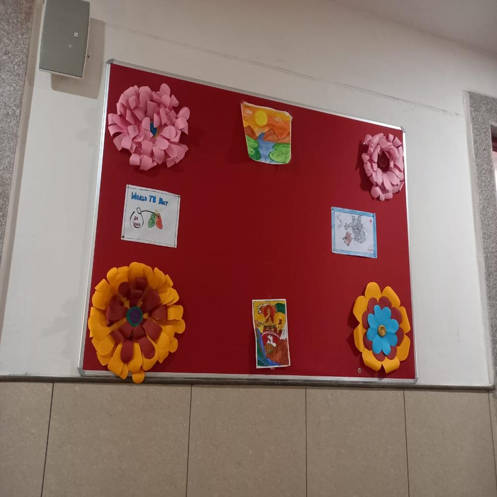 High Quality Colorful Pin Board in delhi