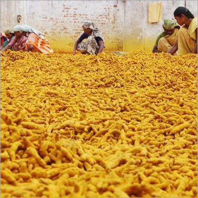 हल्दी