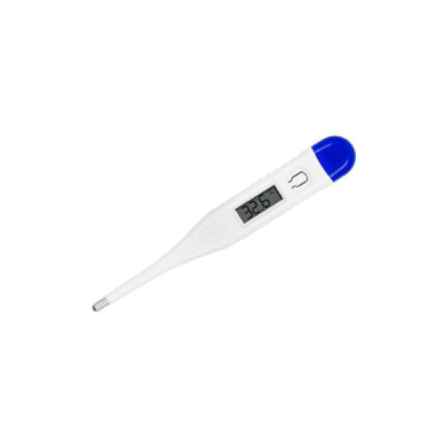 Digital Thermometer