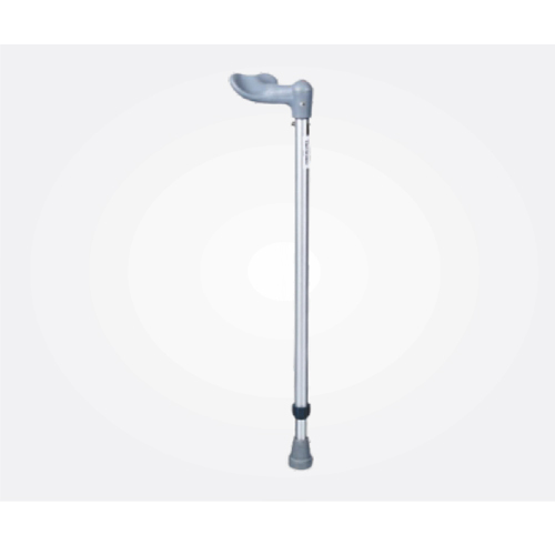 Walking Stick