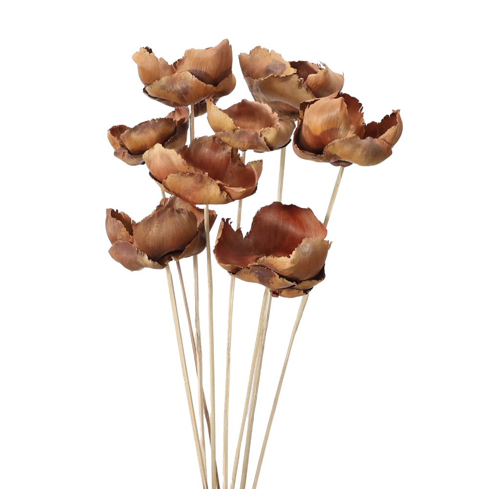 Palm Cap On Stem Exotic Dried Flowers