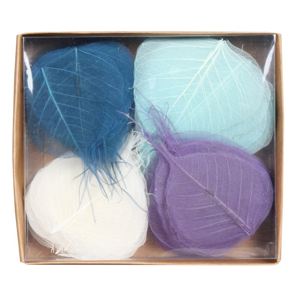 GDF22005 Dried Leaves