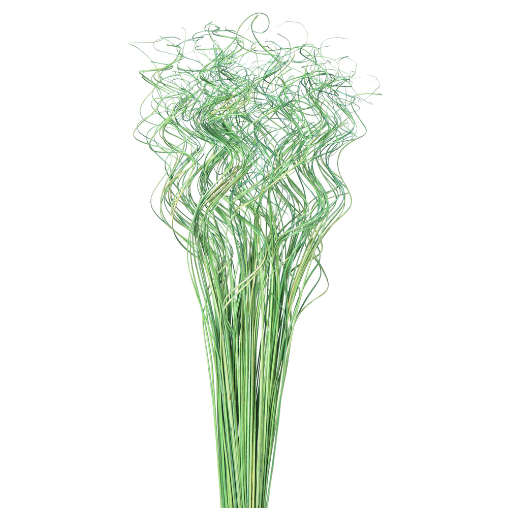 Curly Ting Ting Apple Green Springs And Curls Artificial Flower