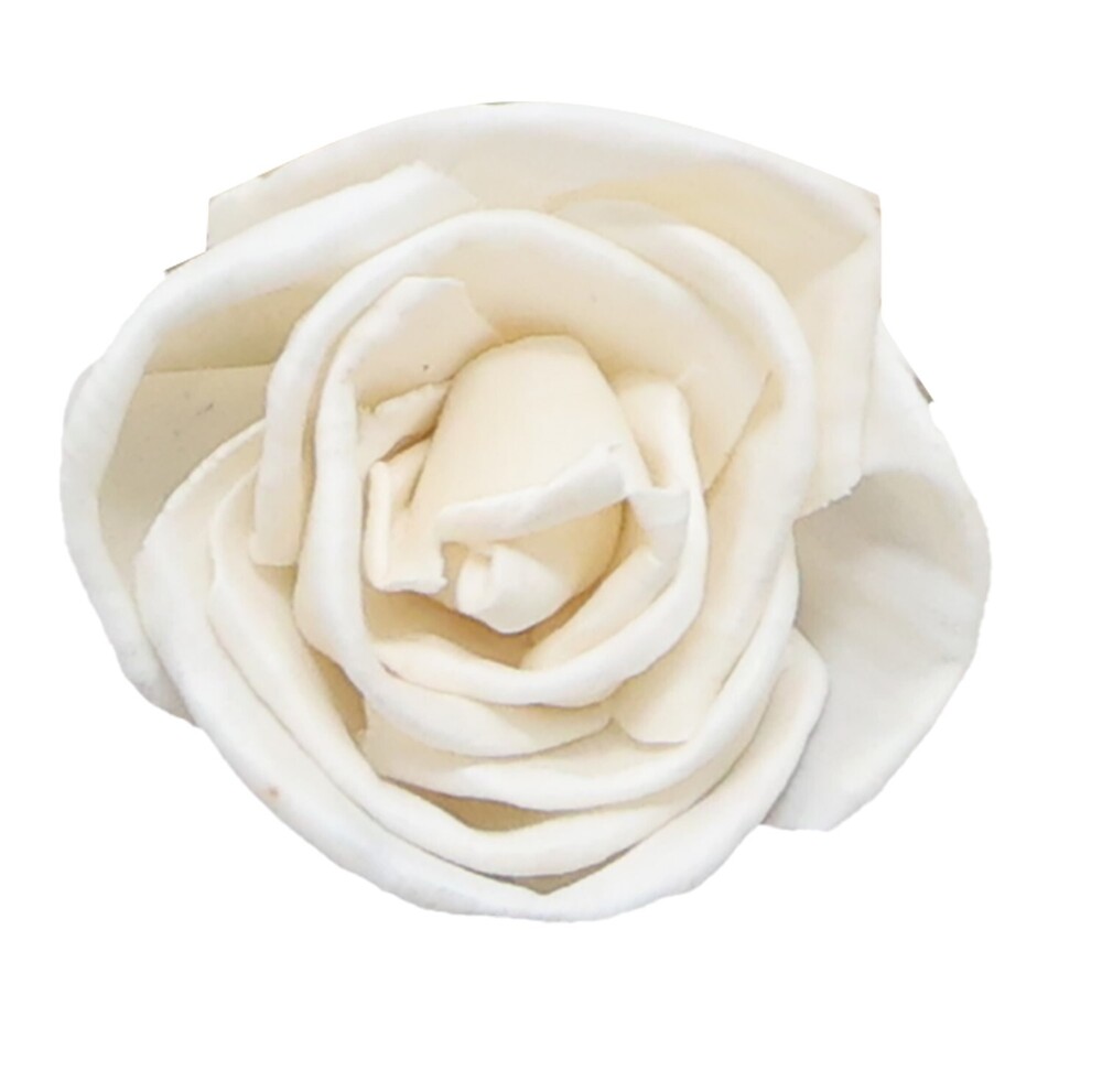 6cm Natural Sola Rose Flowers