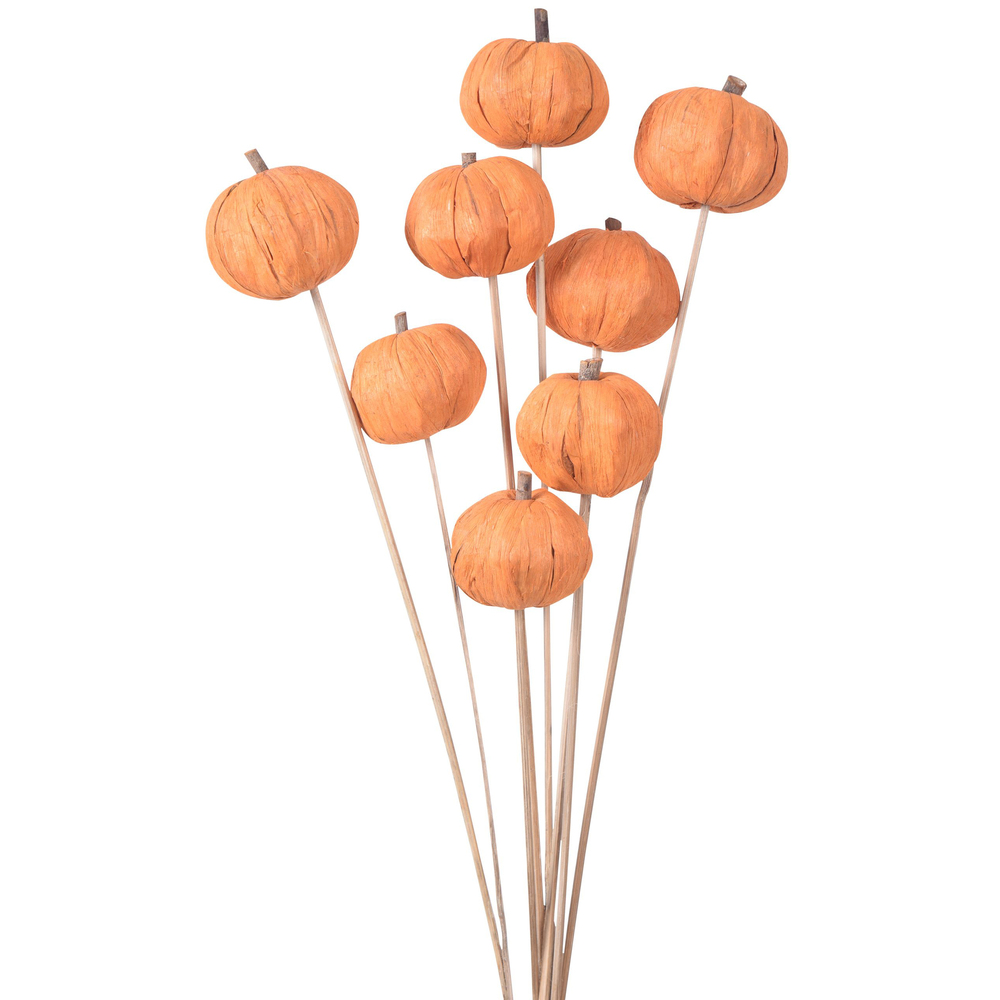 Halloween Dried Flowers