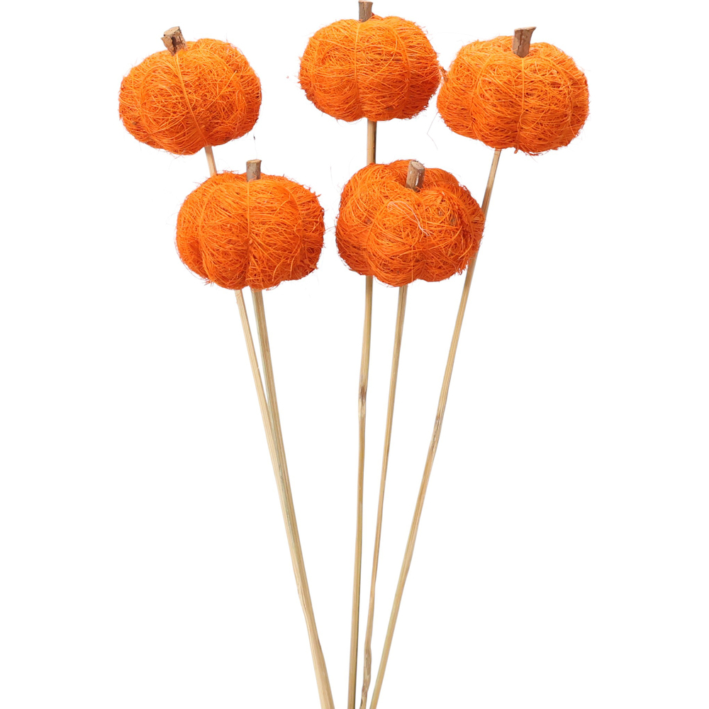6cm Direct Orange On 50cm Stem Coir Pumpkin Dried Flowers