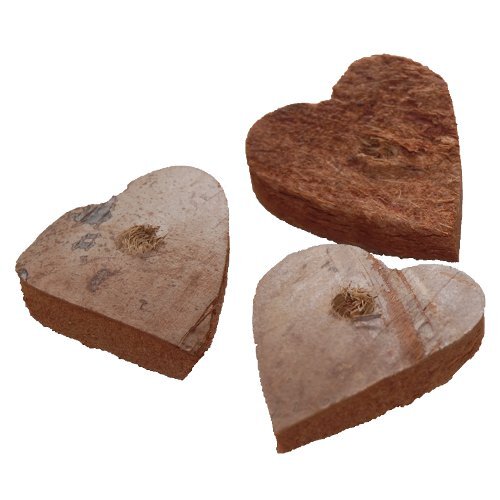 Bamboo Coco Heart