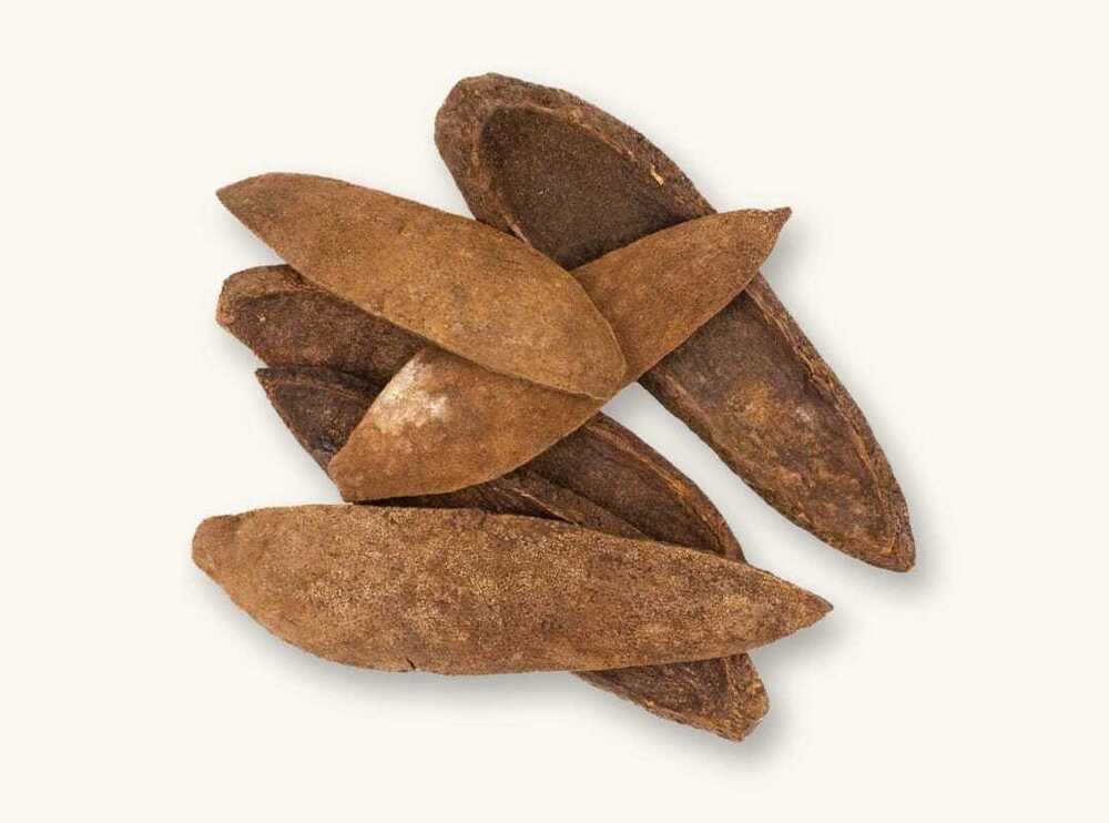 Dried Mahogany Pods