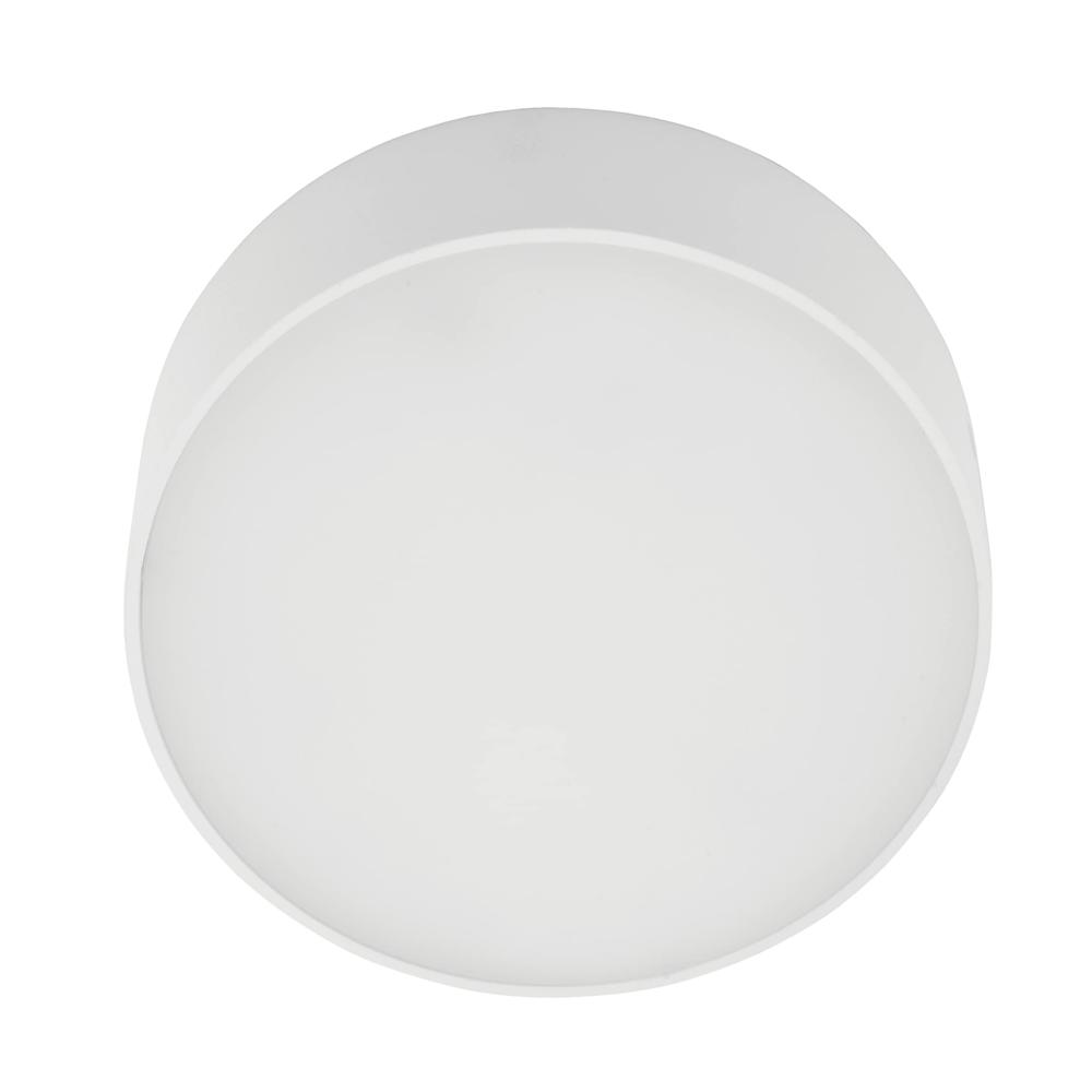12w Alpha Downlight For Junction - Color Temperature: 1200 Kelvin (K)