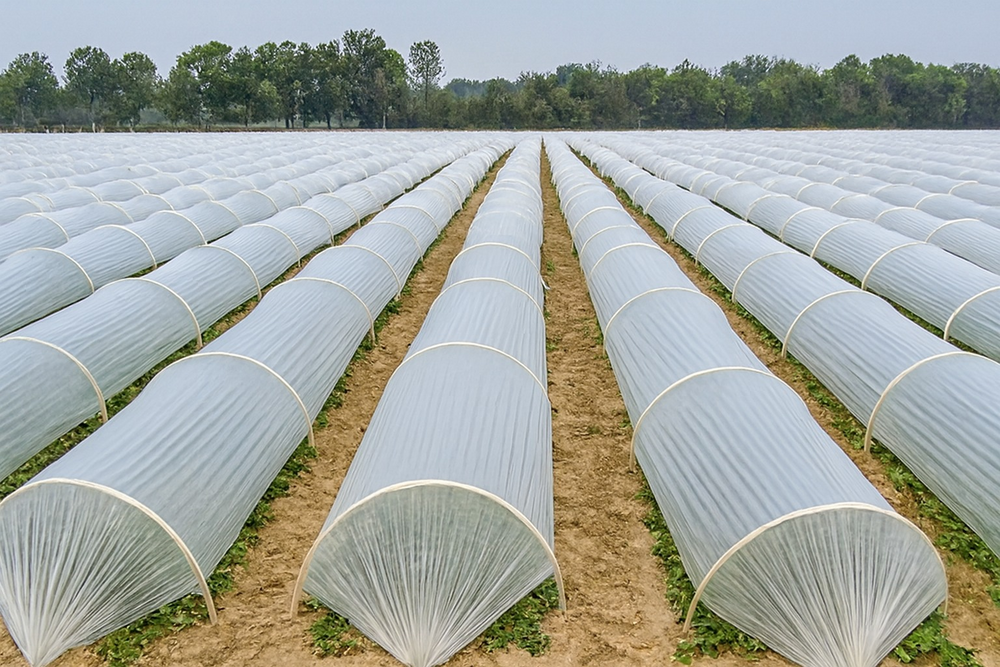 Mulchin Paper Crop Support FRP Rebar - FRP Pol