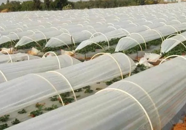 Mulchin Paper Crop Support FRP Rebar - FRP Pol