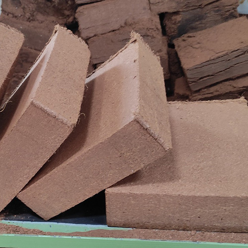 Coconut Coir Blocks
