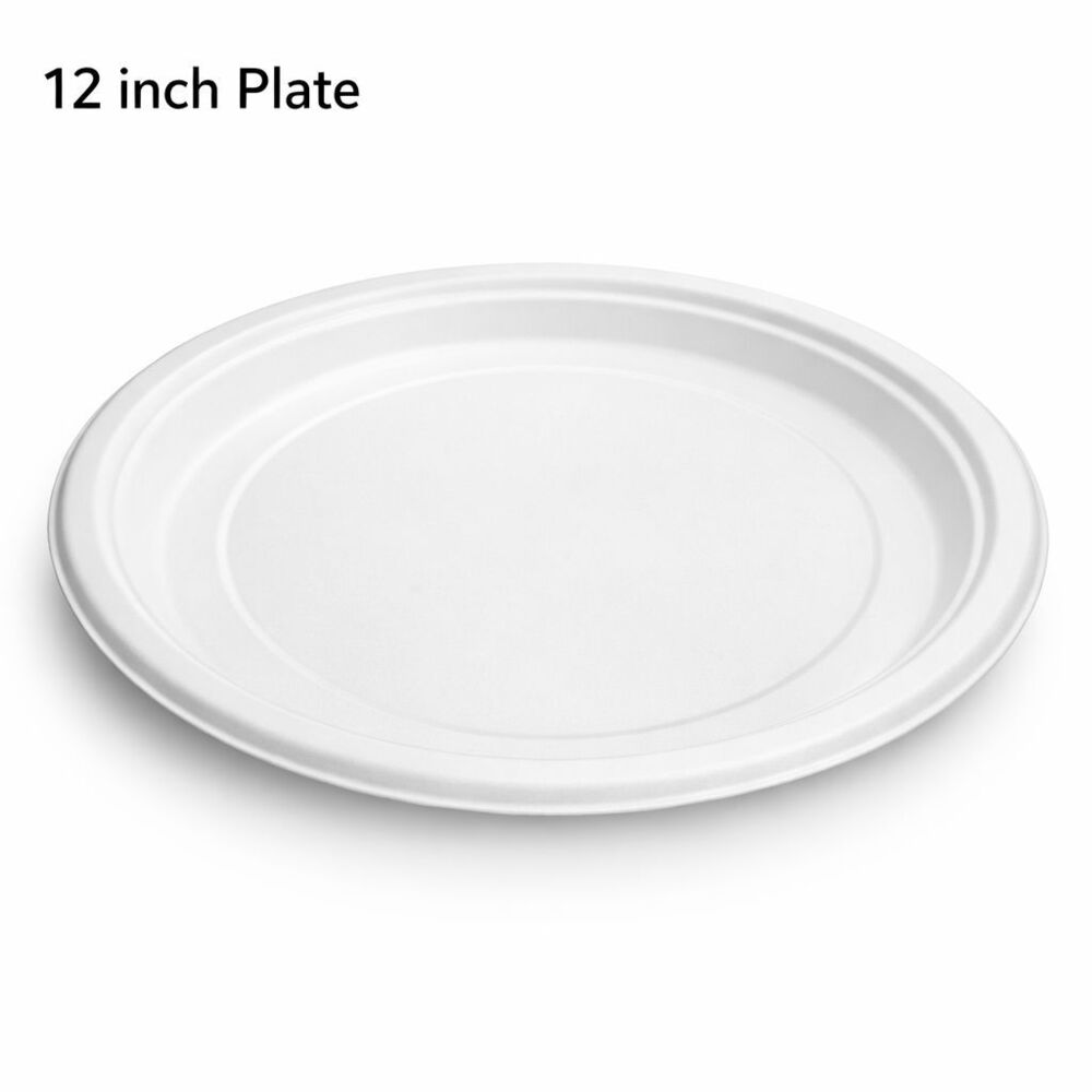 12' ROUND PLAIN PLATE(BAGASSE)