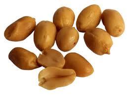 Groundnut seeds 
