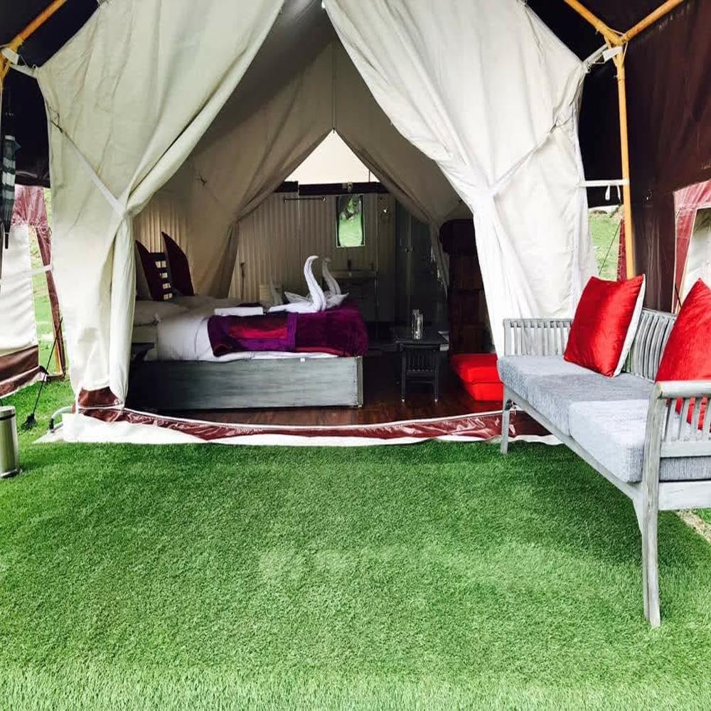 jungle safari tent 