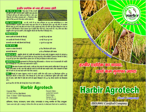 फील्ड फसल धान बीज