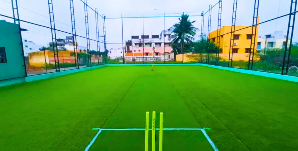 Cricket Turf
