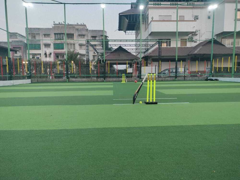 Cricket Turf