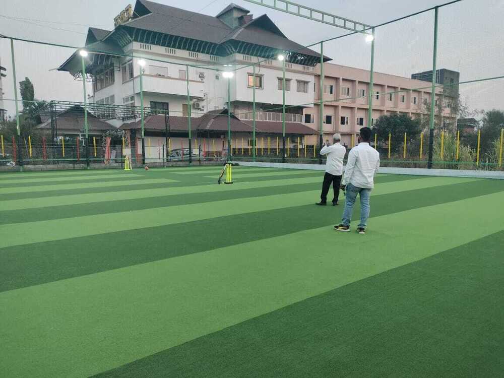 Cricket Turf