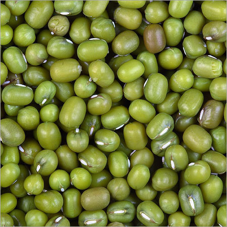 हरी मूंग दाल बीज