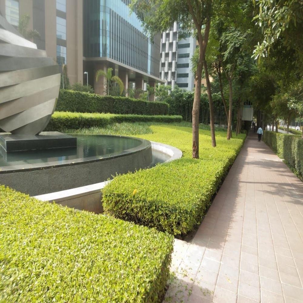 Luxury Landscape Design Services